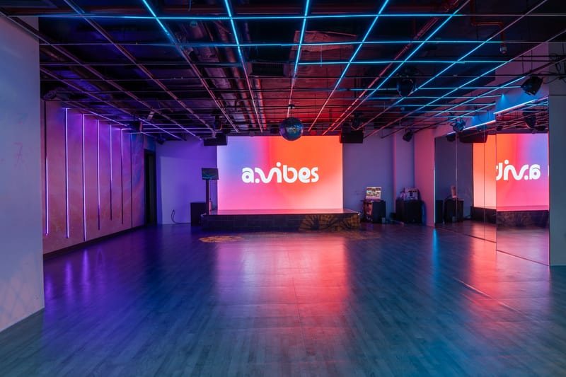 An AVIBES hosted activity